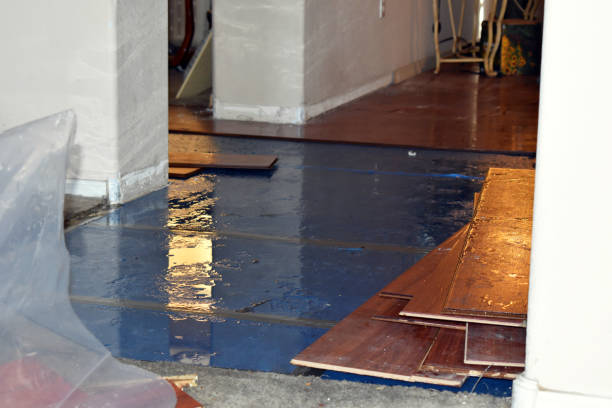 Professional Water Damage Restoration technician working in Center Barnstead, NH
